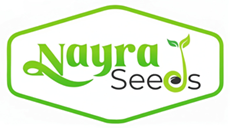 Nayra Seeds